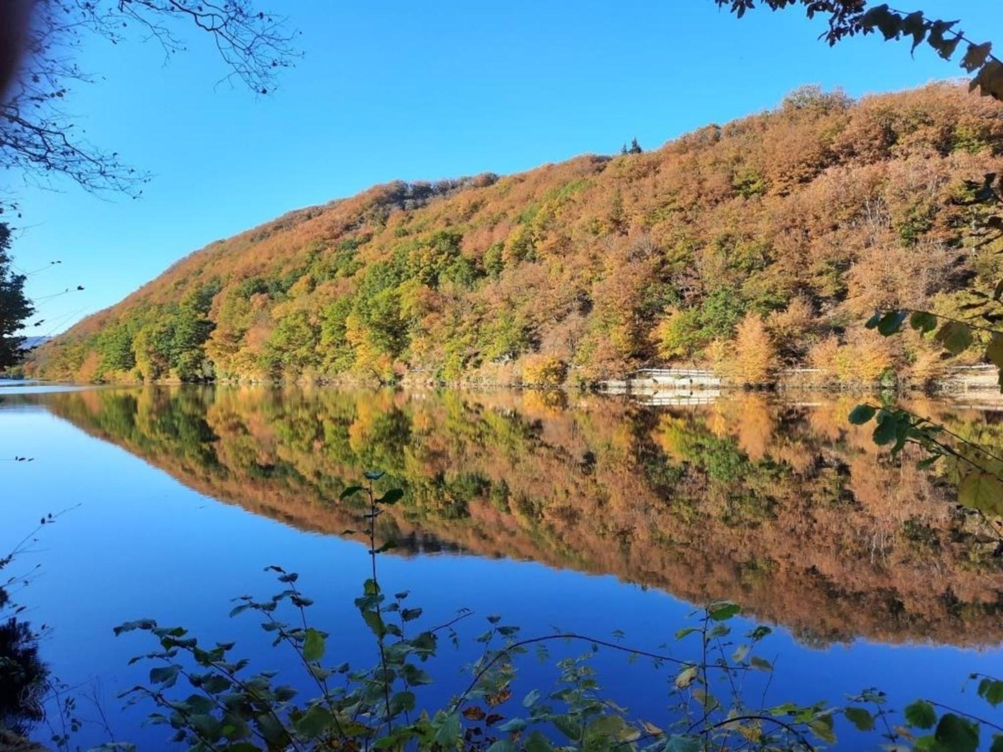 Ferienhaus &#039Freund Am See&#039 1 Heimbach Kültér fotó
